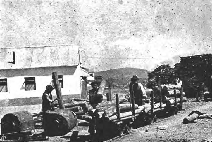Preparação das escoras de madeira para transporte para o interior da mina